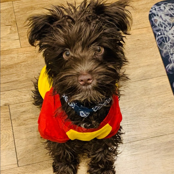 Meet your Posher, Marti - Picture 4 of 8